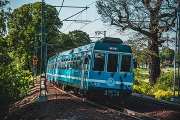 Naklejka premium Train on a curved railroad with forest surroundings in summer