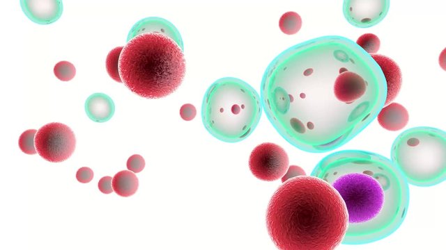 Embryonic stem cells Cellular therapy Regeneration