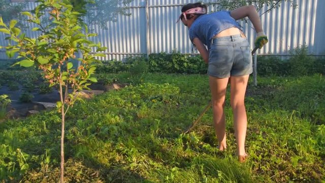 the girl the gardener removes the grass rake