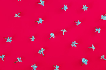 Blossoming isolated lilac petals top view. Picked flowers laying on crimson backdrop flat lay. Blooming, fresh petals on vibrant, colorful background. Simple, minimalist nature wallpaper