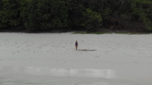 Aerial: Woman walking on white sand beach turquoise water tropical coastline Pasir Panjang Kei Islands Indonesia Moluccas Maluku Indonesia scenic travel destination