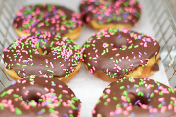 Fresh donuts on display racks at the donut shop.