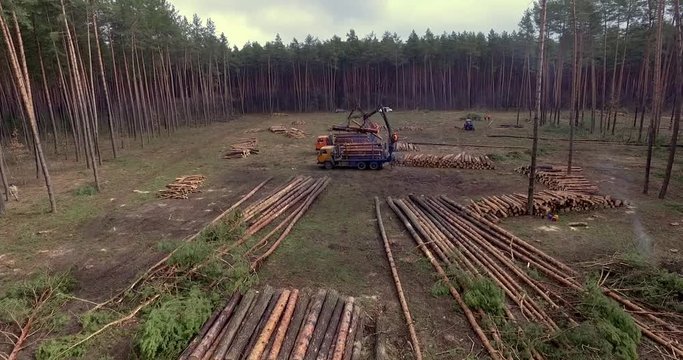 Wood processing