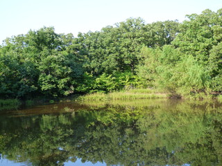 Fototapeta premium scenic pond