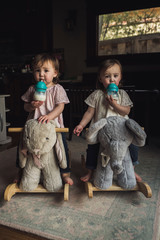 Portrait of twin sisters drinking milk while sitting on rocking animals