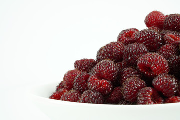 Fresh raspberry, Delicious raspberry isolated on color background