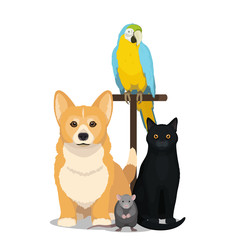 House pets vector illustration. Cat, dog, parrot and mouse isolated on white, domesticated animal.