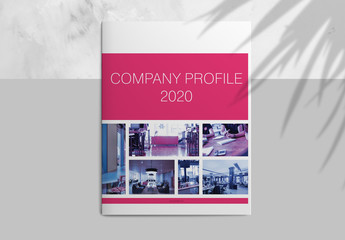 Company Profile Layout with Pink and Blue Accents