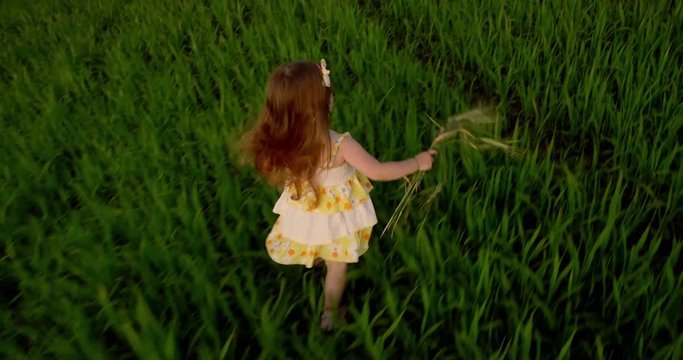 The girl with spikelets runs away in a field of wheat