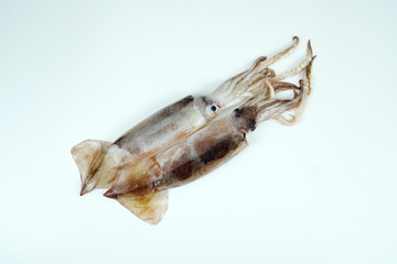 Fresh squid, Delicious squid isolated on color background