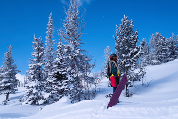 Woman freerider with snowboard on a snowy slope among the Alpine Christmas trees.