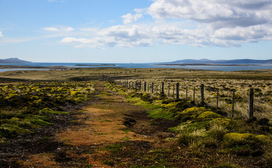 Fototapeta na wymiar Landscape in Falkland Island