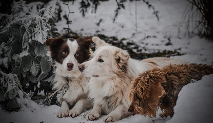 I admire your dedication