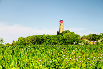Fototapeta na wymiar Leuchtturm Rügen