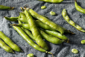 Raw Green Organic Fava Beans
