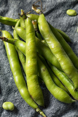 Raw Green Organic Fava Beans