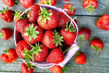 Red, ripe strawberries in a metal, pink bucket against a background of gray boards
