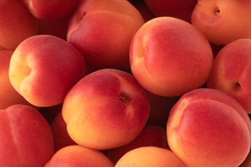 fresh red apricots background