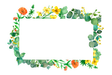 Watercolor hand painted green floral banner with field plants and eucalyptus silver dollar isolated on white background. Healing herbs for greeting cards, wedding invitations, posters, save the date o
