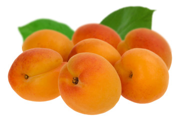 big heap of apricots with green leaves  isolated on white background