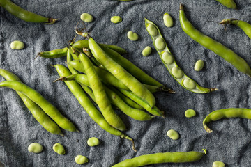 Raw Green Organic Fava Beans