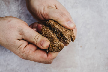 High angle close up of person breaking freshly baked chocolate cookie in half.