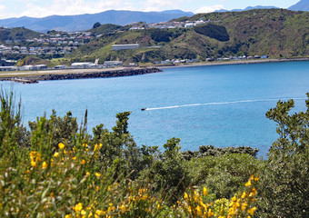 A motor boat speeds across Lyall Bay in WellingtoN, New Zealand. The airport is visible in the background.