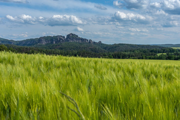 schrammstein rocks and wheatfield in saxon switzerland, germany