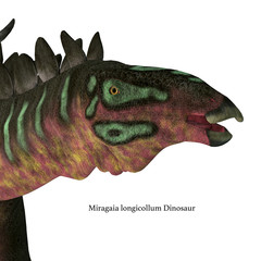 Miragaia Dinosaur Head with Font - Miragaia was a armored stegosaurid sauropod dinosaur that lived in Portugal during the Jurassic Period. © Catmando