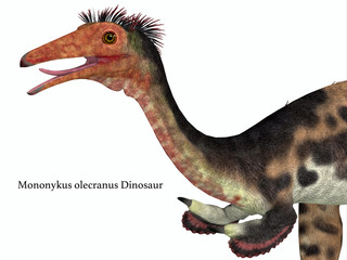 Mononykus Dinosaur Head with Font - Mononykus was a carnivorous theropod dinosaur that lived in Mongolia during the Cretaceous Period. © Catmando