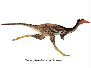 Mononykus Dinosaur Side Profile with Font - Mononykus was a carnivorous theropod dinosaur that lived in Mongolia during the Cretaceous Period.