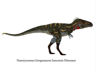 Nanotyrannus Dinosaur Side Profile with Font - Nanotyrannus was a carnivorous theropod dinosaur that lived in North America during the Cretaceous Period.