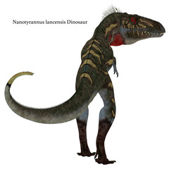 Nanotyrannus Dinosaur Tail with Font - Nanotyrannus was a carnivorous theropod dinosaur that lived in North America during the Cretaceous Period.