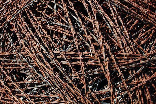 Barbed wire, mass of tangled rusty corroding sharp barbed wire,Joseph H. Williams Tallgrass Prairie Preserve