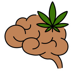 CBD human brain