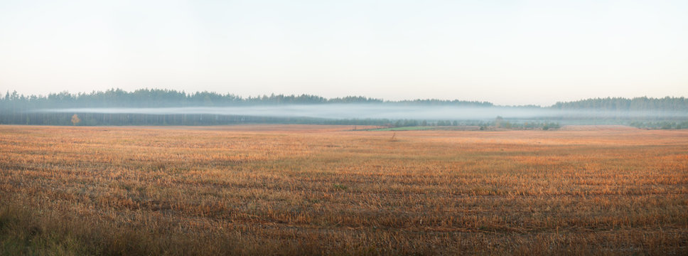 fog over the autumn field