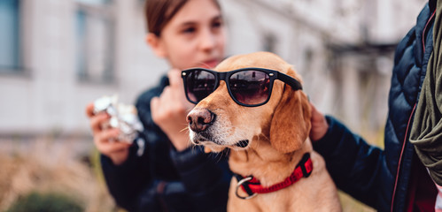 Brown dog wearing sunglasses