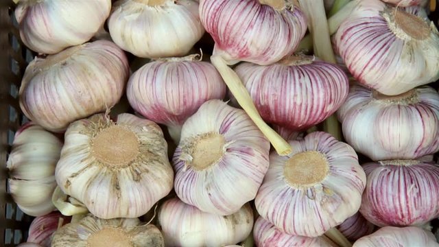White garlic pile texture. Fresh garlic on market table closeup