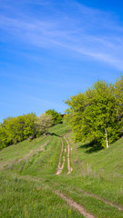 Fototapeta premium beautiful green hill and clear, blue sky. Path to the top of the hill