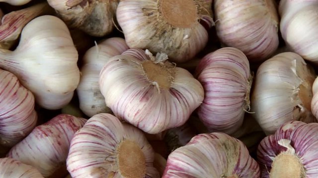 garlic on the market