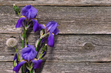 Irises on wooden background. Bouquet of purple irises with a copy of space. The view from the top. Copy space.