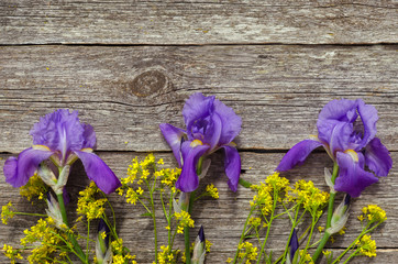 Irises on wooden background. Bouquet of purple irises with a copy of space. The view from the top. Copy space.