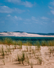 View of the great dune of Pilat from the Cap Ferret with a grassy dune in the foreground