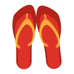 Flip flops sandals footwear cartoon isolated