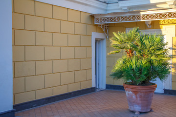 Closeup details of a house in Naples Italy at sunrise, porch, terrace, balcony and tropical plants