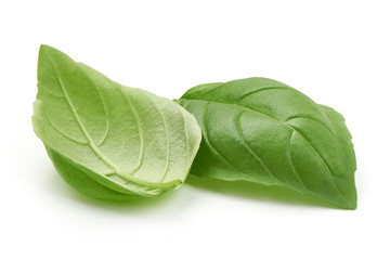 Obraz premium Sweet basil herb leaves, close-up, isolated on white background. Fresh Genovese basil