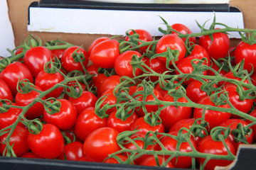 fresh red tomatoes in a box