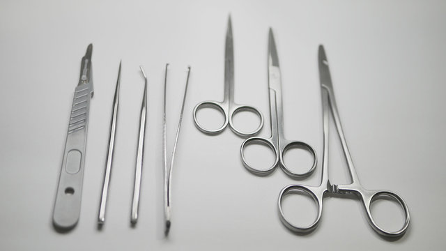 A pair of stainless steel surgical clamps, scalpel knife, medical grade scissors, forceps and assorted probes arranged straight on a white table.