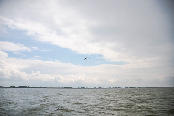 Fototapeta na wymiar The Danube Delta , Romania
