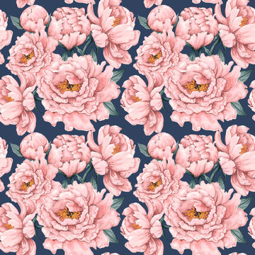 Seamless pattern pink Paeonia vintage flowers background.Vector illustration hand drawn watercolor style.
